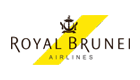 Brunei Airlines logo