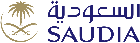 Saudi Airline logo